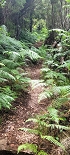 Plants: image 92 Of 208 Thumb